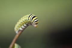 20090703_IMG_3450-2048px