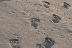 20080513_IMG_6779